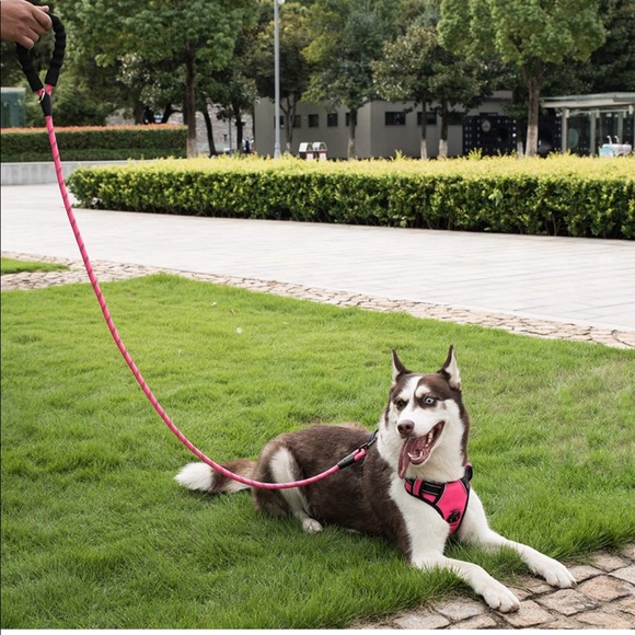 Poohoo 2 Dog Leashes 5 Feet Glove Pink. - Picture 6 of 6